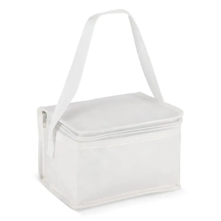 R-PET 6 Can cooler bag non-woven 20x 13 x 12.5cm 75g/m² - LT95390 (N0001)
